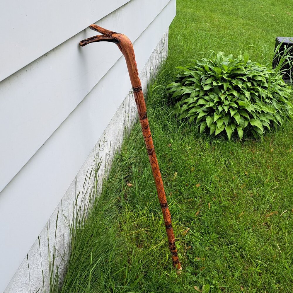 Jamaican Walking Stick